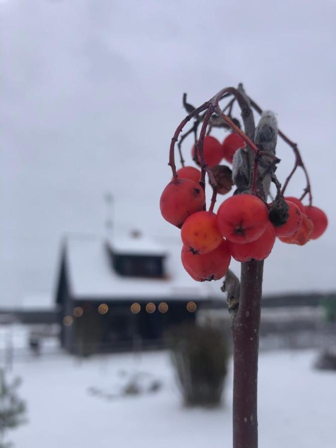 Vanaga Namins Sigulda Eksteriør billede
